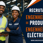 PLUTUS Angola Comercial, Lda