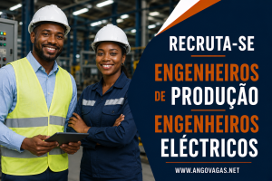 PLUTUS Angola recruta Engenheiros de Produção e Engenheiros Eléctricos para reforçar a sua equipa.