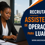 NGUITO Soluções Integradas e Consultoria, Lda. (NSI