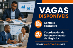 Friburge Energies recruta profissionais para as áreas de Controlo Financeiro e Desenvolvimento de Negócios em Angola.