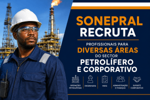SONEPRAL recruta profissionais para diversas áreas de Engenharia, Petróleo e Gás, Logística, HSE, Recursos Humanos e Tecnologias de Informação em Angola.