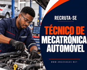 Sanoli recruta Técnico de Mecatrónica Automóvel em Luanda